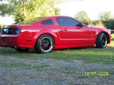 mustang.jpg
