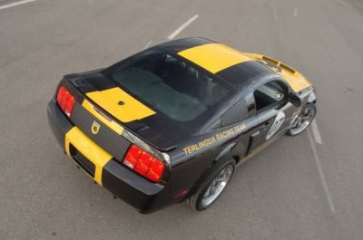 terlingua-mustang-rear.jpg