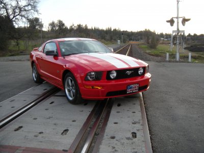 DSCN5407.jpg