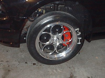 mustang 018.jpg mustang 018.jpg