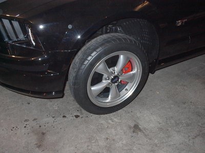 mustang 019.jpg mustang 019.jpg