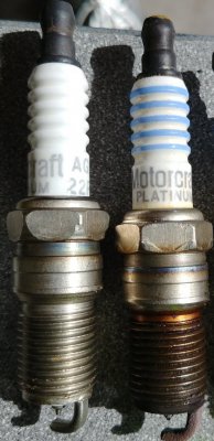 gt500 plug blue and white.jpg