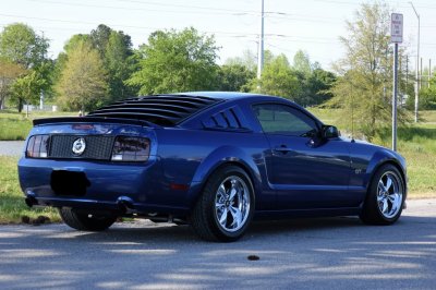 Stang1.jpg