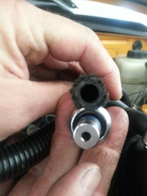 20121004_104959.jpg 20121004_104959.jpg