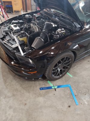 engine bay.jpg engine bay.jpg