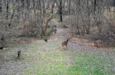 DSC_0295.JPG