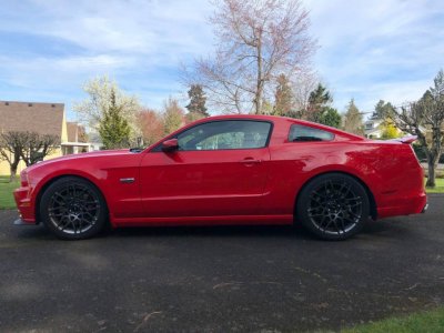 old Mustang3.jpg
