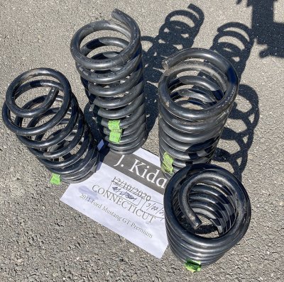 Brembo_Springs.jpeg