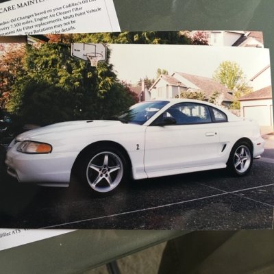 97 Mustang Cobra.jpg