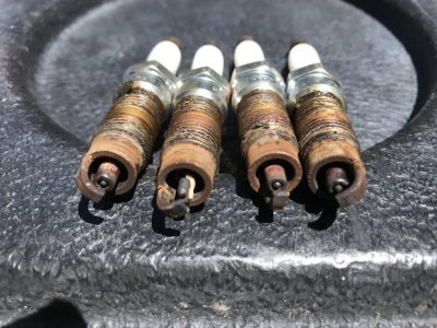 Spark Plug Changeout B2 Plugs.JPG