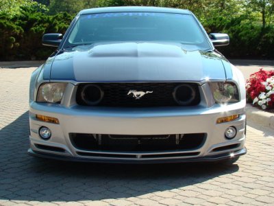 VS-front (1).jpg