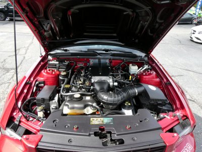 06 saleen 2.jpeg
