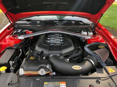 old Mustang4.jpg