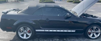 Mustang Wheels.jpg