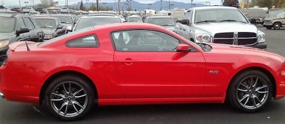2014 Mustang3.jpg