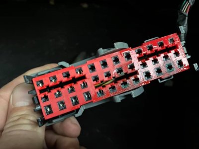 244855893_10218304448396423_2021316556871032778_n.jpg