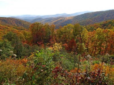 Blue Ridge Parkway, North Carolina.jpg