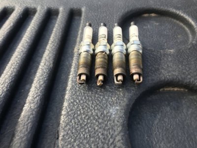 Bank 1 Spark Plugs 1-8-22.JPG