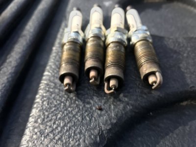 Bank 2 Spark Plugs 1-8-22.JPG