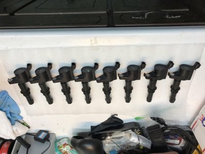 Coils 2.jpg