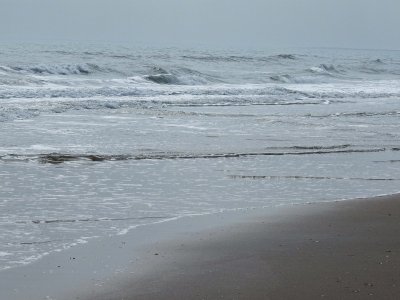 Murrell's Inlet, South Carolina..jpg