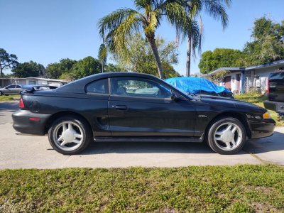 Mustang 1.jpg