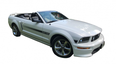Mustang cut out.png