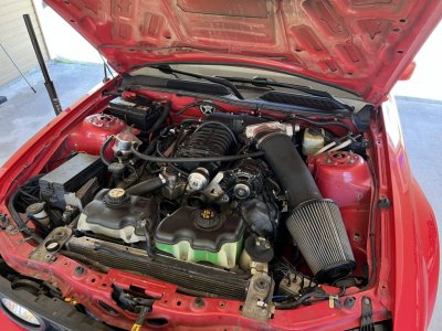 24269245-B3D8-4FCA-83F8-AB91CAD4305E.jpeg 24269245-B3D8-4FCA-83F8-AB91CAD4305E.jpeg