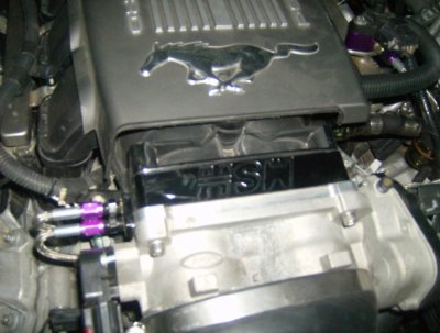HSW1.jpg