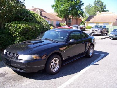 Black_stang.jpg