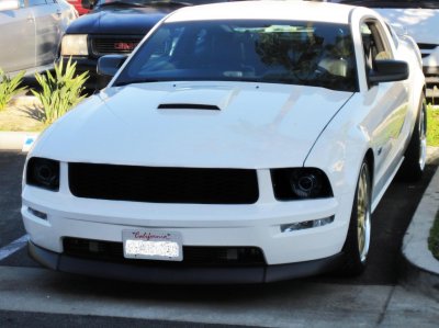 mustang-photoshop.jpg