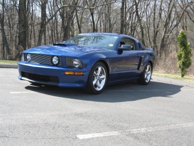 MISC 2010 154.jpg