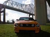 stang1.jpg