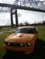 stang2.jpg