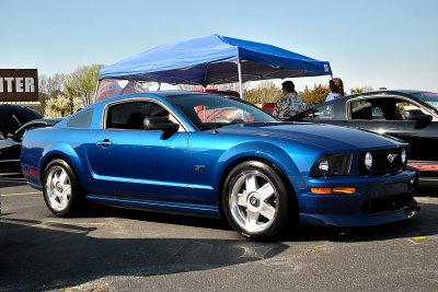 DSC_0212.jpg