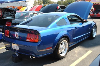 DSC_0207.jpg