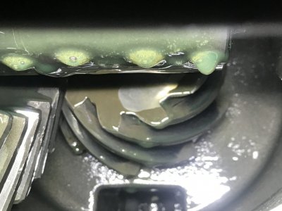 Pinion View.JPG