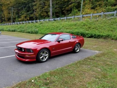 mustang for sig.jpg