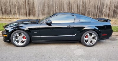 Mustang - Side (2).jpg