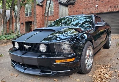 Mustang - Front - Copy.jpg