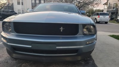 mustang2.jpg