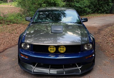 mustangwrap1.jpg
