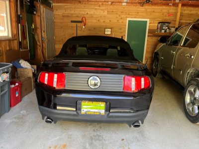Mustang 2012 b.jpg