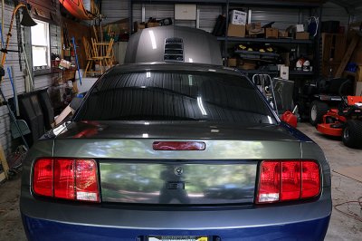 trunkwrap5.jpg