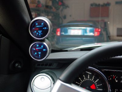 Mustang-3.JPG