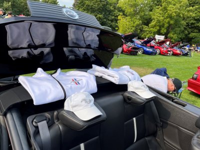 Jackets match Floor & Trunk.jpg