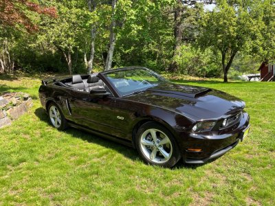 Mustang 2012- 1st wax job.jpg