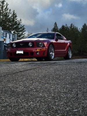 Roush6.jpg Roush6.jpg