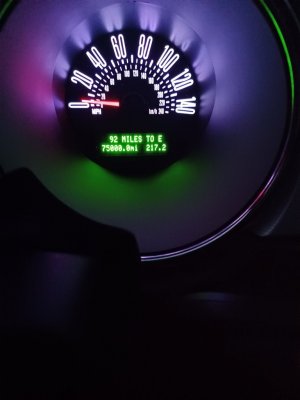 speedo.jpg