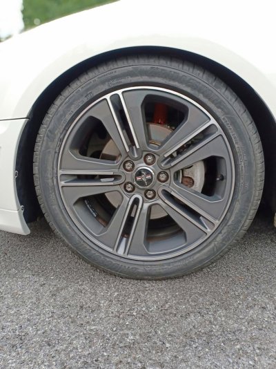 IMG20230925222935.jpg